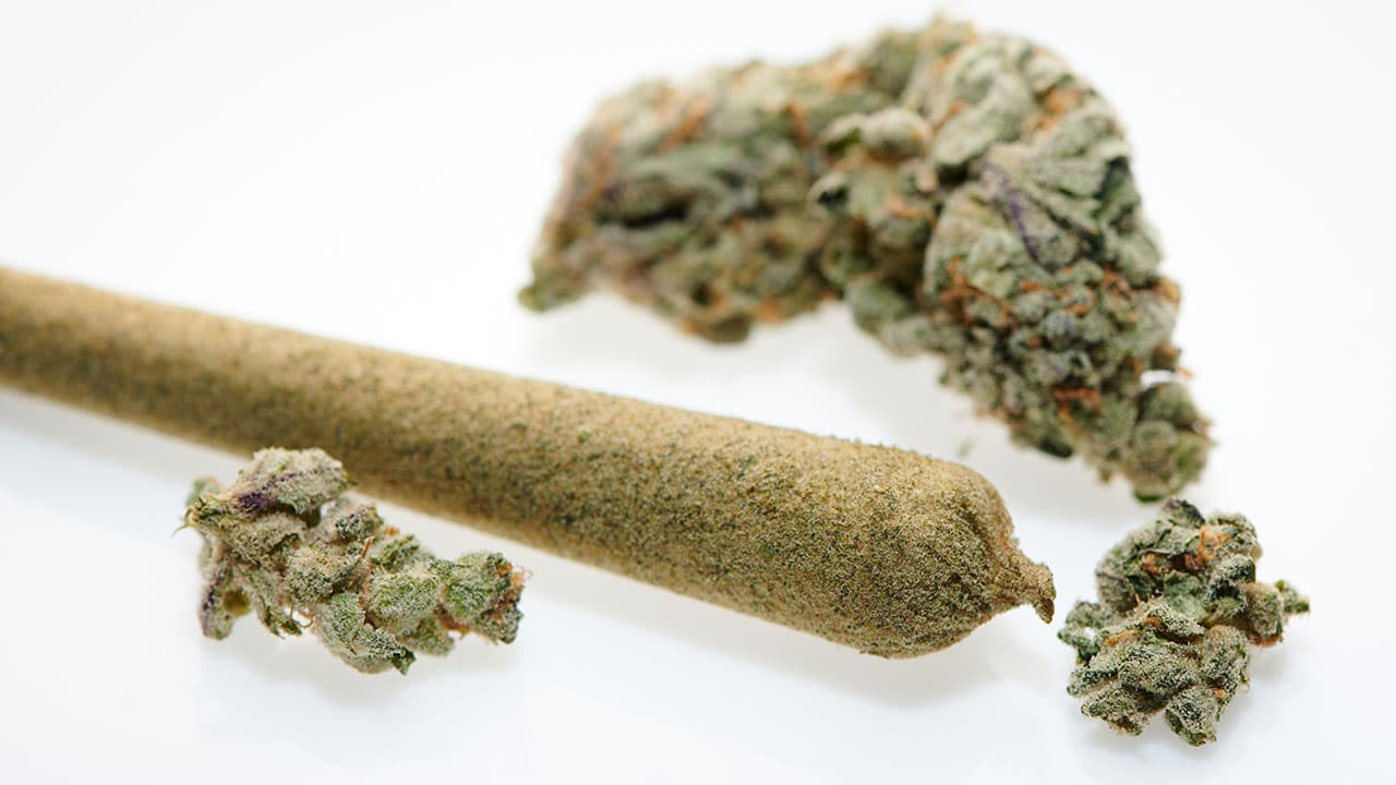Why Euro Weed Clinic Leads in THC Infused Cannabis Pre-Rolls Europe