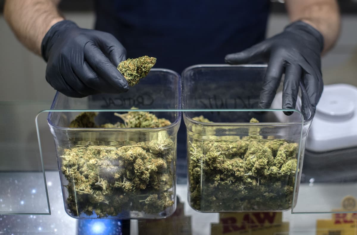 Buy Marijuana Online Europe for Legal Cannabis Products